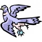 google pigeon